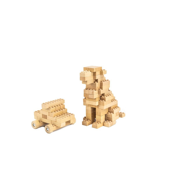 Eco-bricks 45 Piece