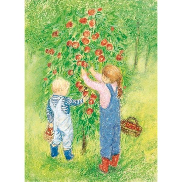 Marjan van Zeyl Postcards - Apple Harvest